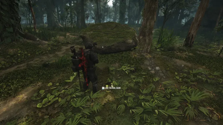 Tactical Caches
