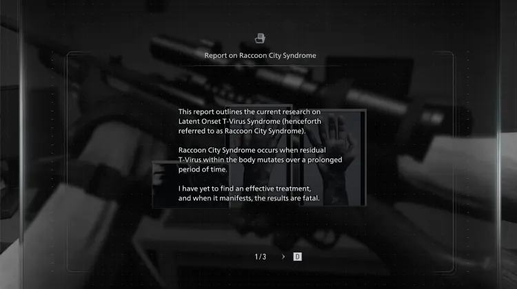 Rakun Şehri Sendromu Raporu