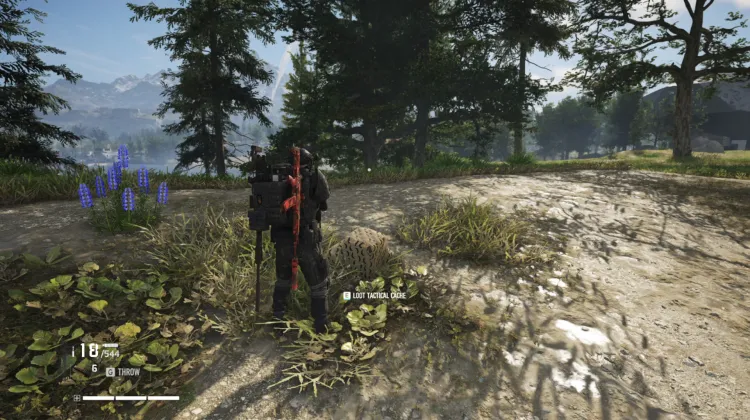 Tactical Caches