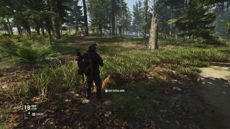Tactical Caches