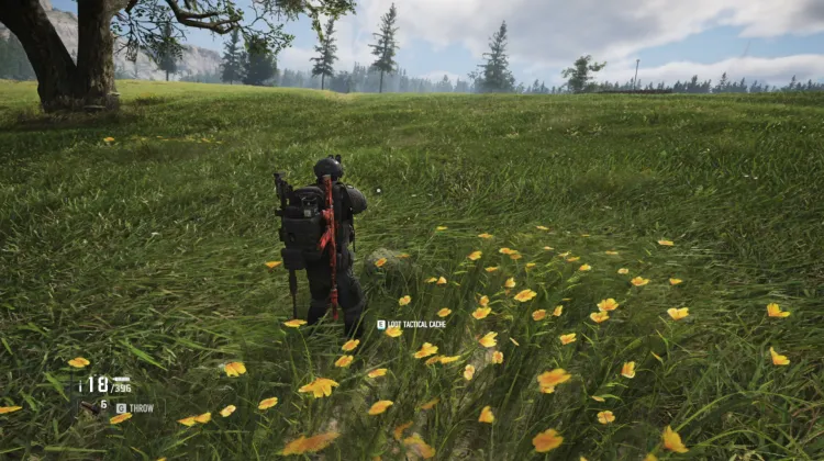 Tactical Caches