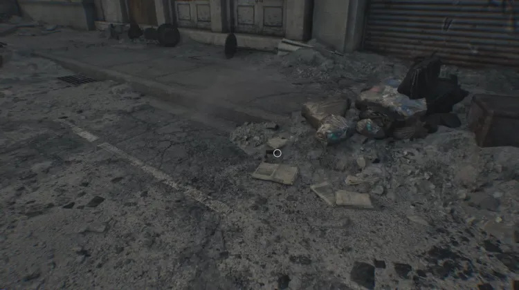 Raccoon City Olayı Gazetesi