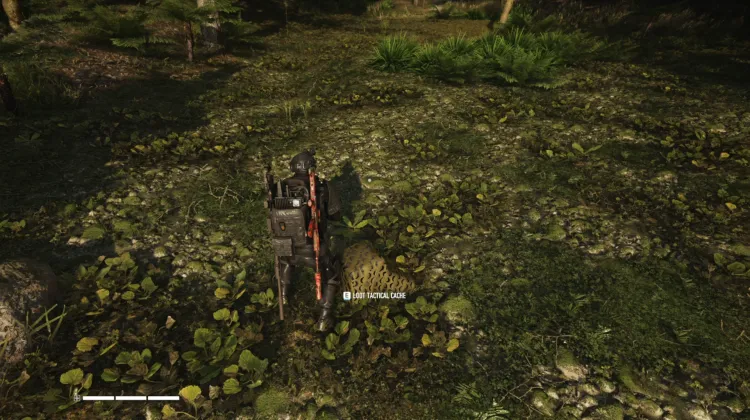 Tactical Caches