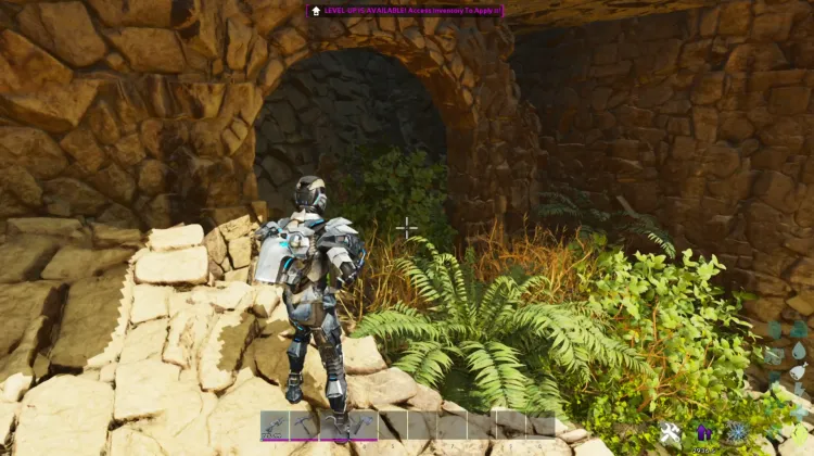 Carcharodontosaurus Dossier