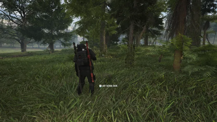 Tactical Caches
