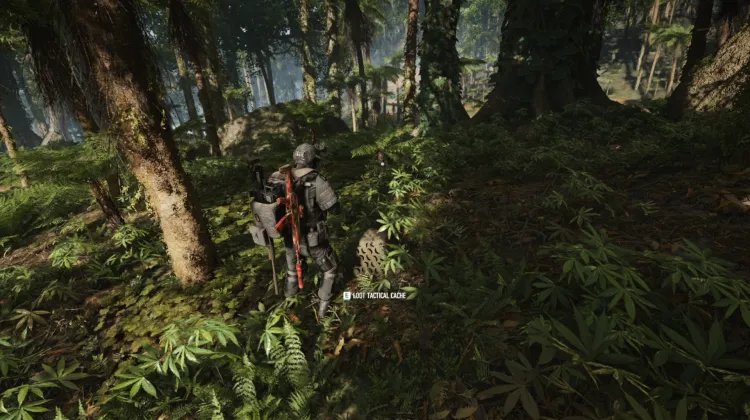 Tactical Caches