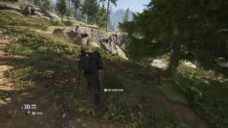 Tactical Caches