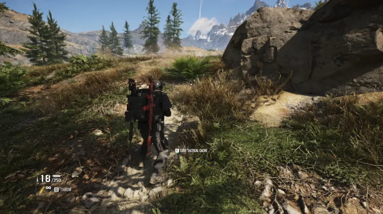 Tactical Caches