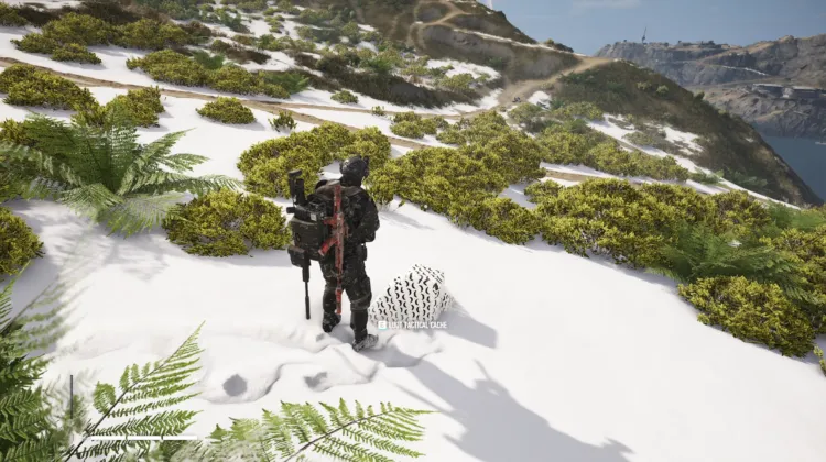 Tactical Caches