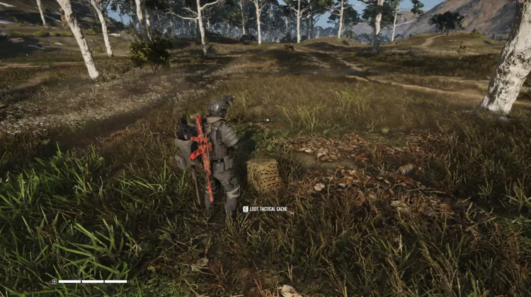 Tactical Caches