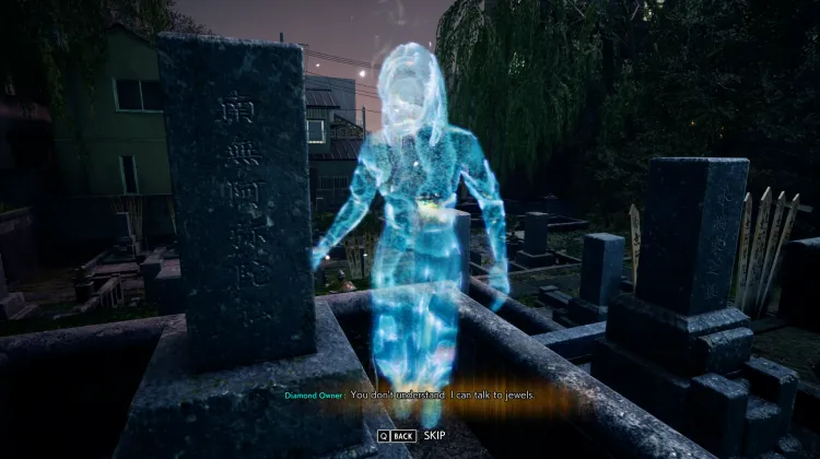 Właściciel Diamentu