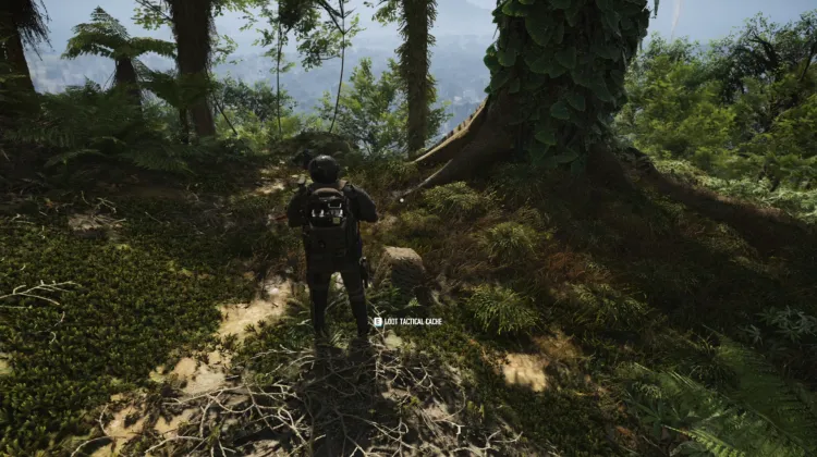 Tactical Caches