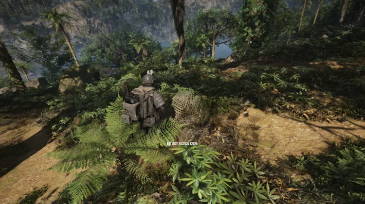 Tactical Caches
