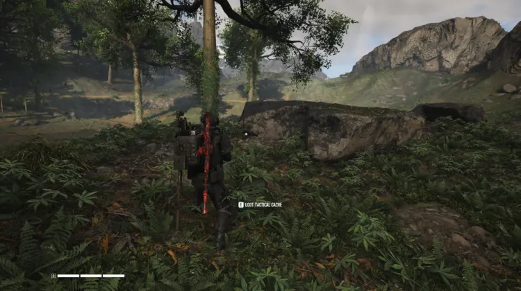 Tactical Caches