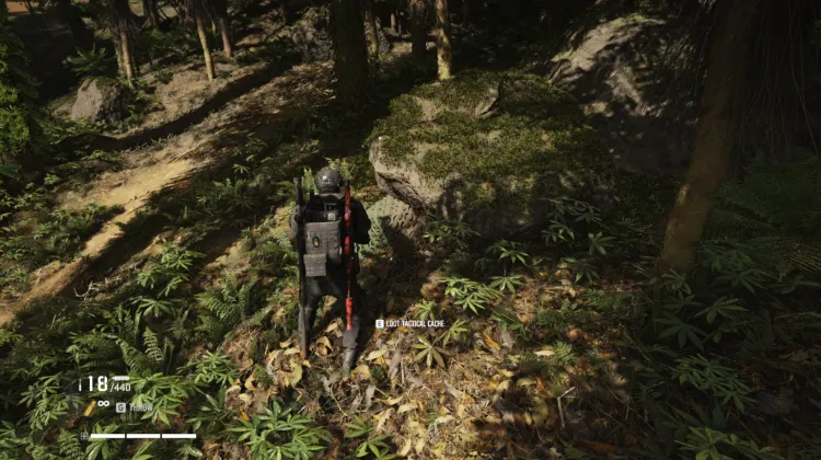 Tactical Caches