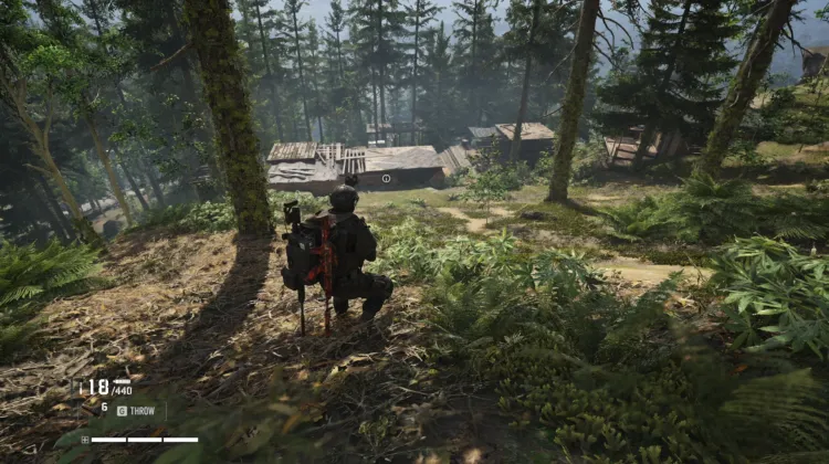 Homesteader Site