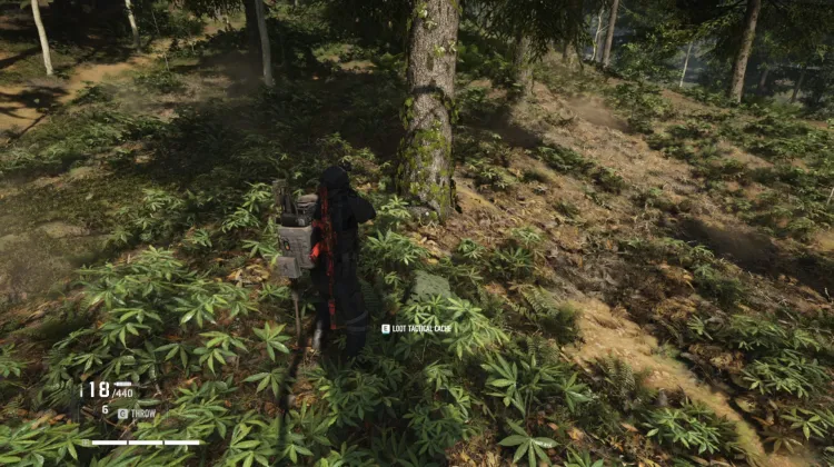Tactical Caches