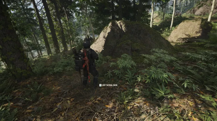 Tactical Caches