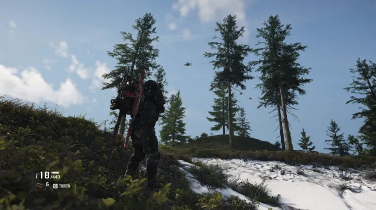 Murmur Patrol Area