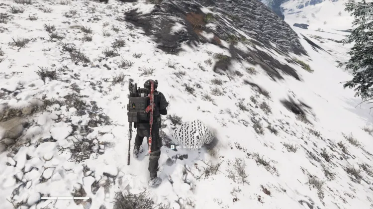 Tactical Caches