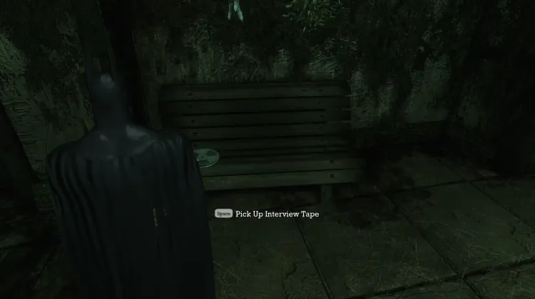 Poison Ivy Interview Tapes