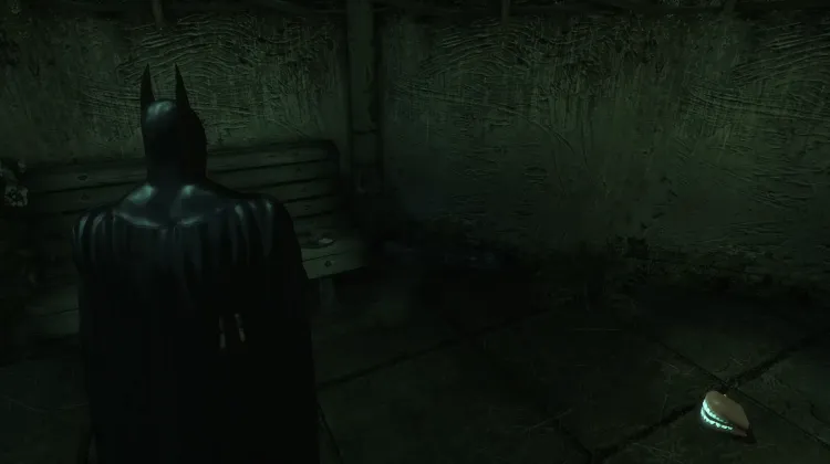 Poison Ivy Interview Tapes