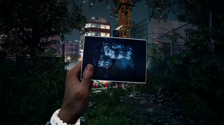 Żuk nosorożec na drzewie