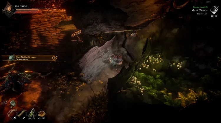 Düstere Nesselspore