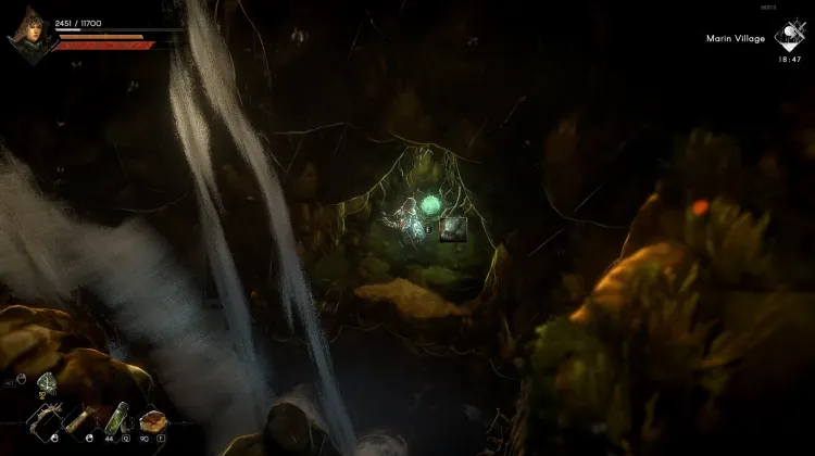 Düstere Nesselspore