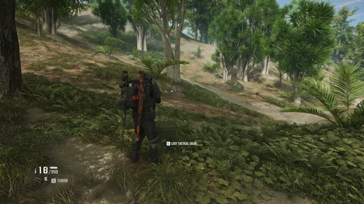 Tactical Caches