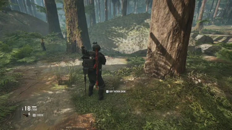 Tactical Caches