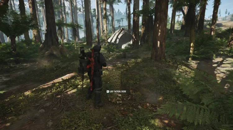 Tactical Caches