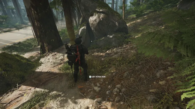 Tactical Caches