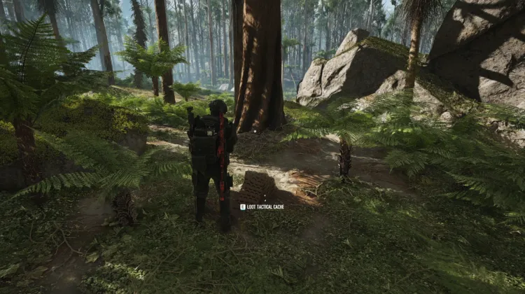 Tactical Caches