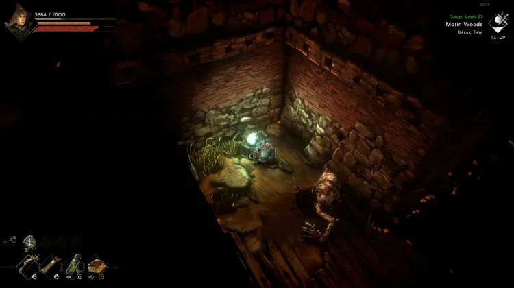 Düstere Nesselspore