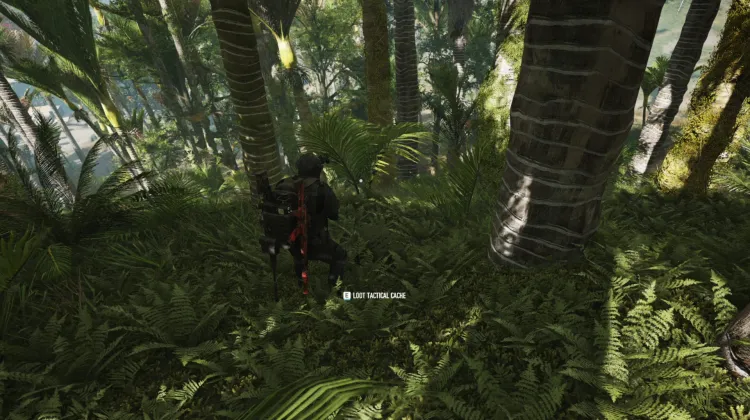 Tactical Caches