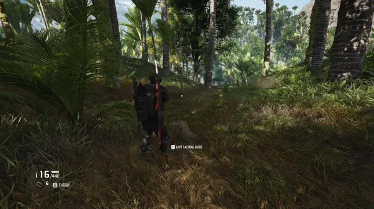 Tactical Caches