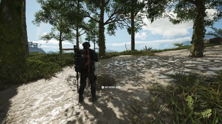 Tactical Caches