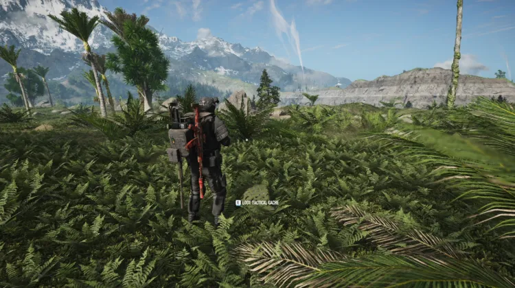 Tactical Caches
