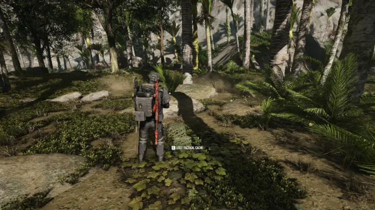 Tactical Caches