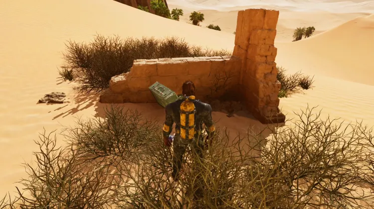 Thorny Dragon Dossier