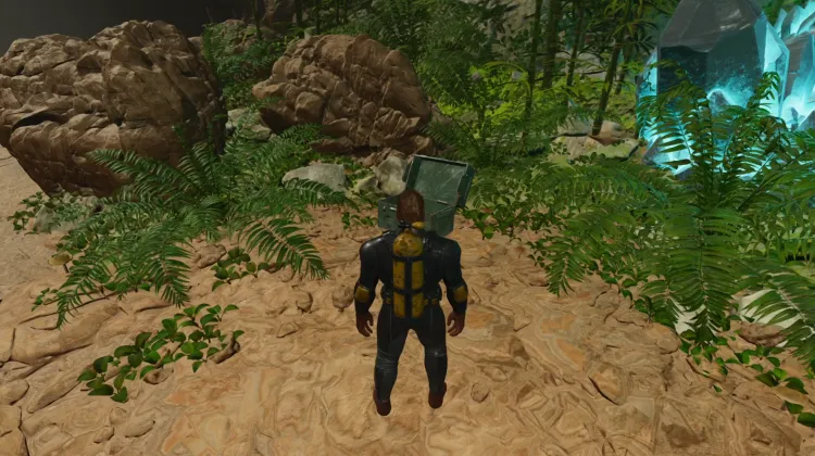 Fasolusuchus Dossier