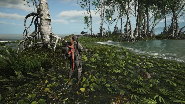 Silent Recovery - Captive Extraction Point