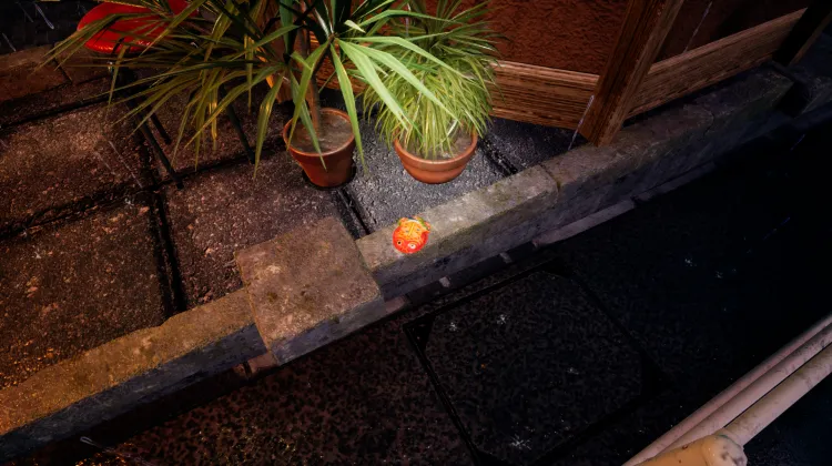 Złota Rybka z Blachy