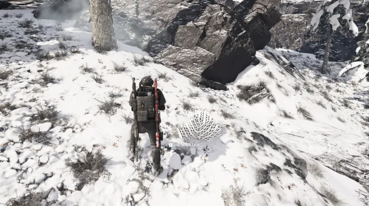 Tactical Caches