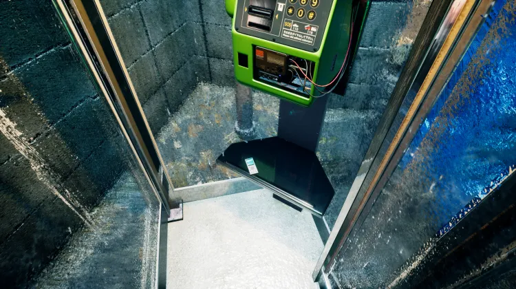 Widziałeś jakichś Odwiedzających?