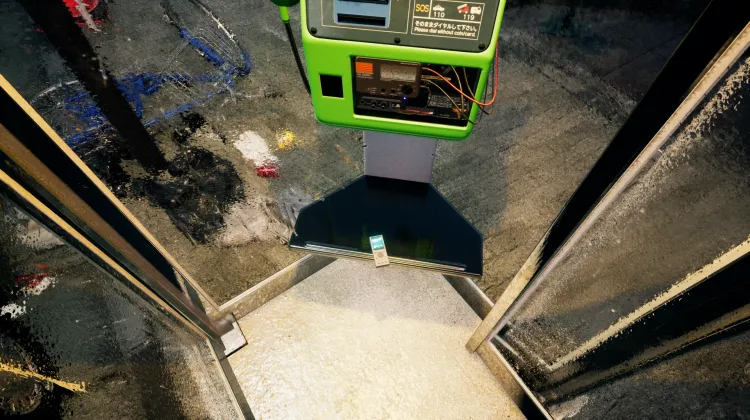 Yokai są wszędzie wokół nas.