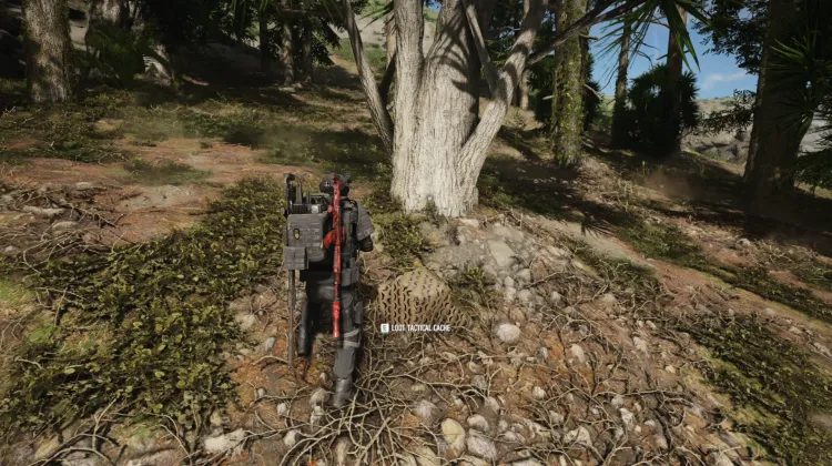 Tactical Caches