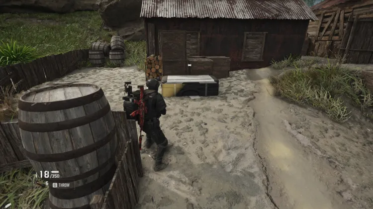 Crye AVS
