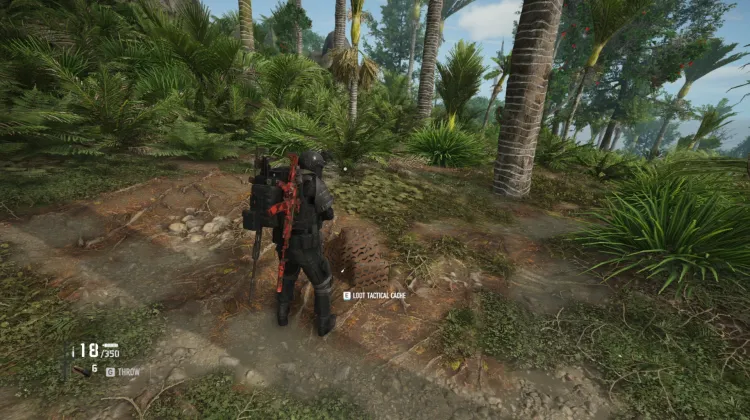 Tactical Caches